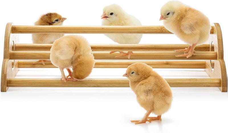 Frcctre Chicken Perch with Built-in Mirrors, Bamboo Freestanding Roosting Bar for Baby for Entertainment, Baby Chick Stand Training Perch Chicken Jungle Gym for Brooder, Coop, Hens - Image 3
