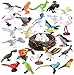kukifun 30Pcs Birds Animal Figures PlaysetAssorted Realistic Bird Wildlife Toys with Nest EggsParrotOwlEagleHummingbirdFlamingo for Kids Educational Birthday Cake Decoration Party Favor School Projects - Image 2