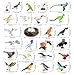 kukifun 30Pcs Birds Animal Figures PlaysetAssorted Realistic Bird Wildlife Toys with Nest EggsParrotOwlEagleHummingbirdFlamingo for Kids Educational Birthday Cake Decoration Party Favor School Projects - Image 4