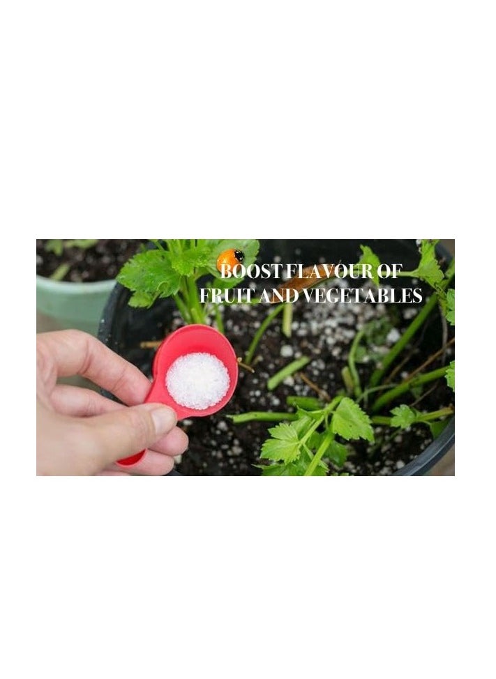 Generic Epsom Salt Magnesium Sulphate 100% Water Soluble Fertilizer 1Kg  - Image 2