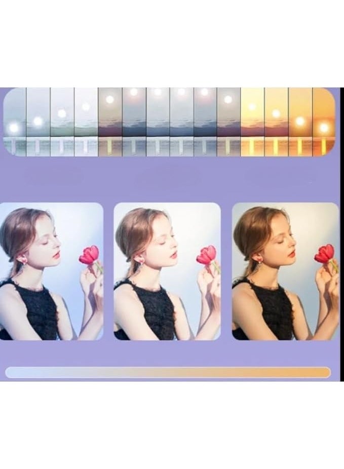 RL-16 LED Studio Ring Light 43 cm 50W – Photography Lighting Lamp – Black - Image 3