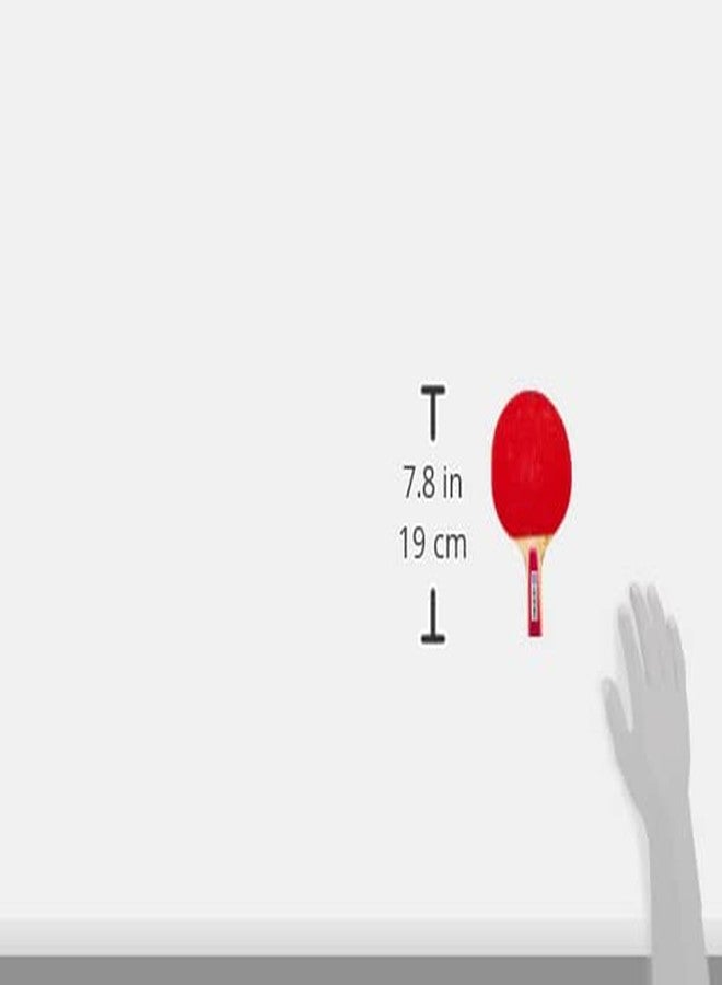 DHS TT Ball 40MM 2 Star Orange (6 Pcs Box) 72 PCS with Smart PRO TT BAT Star - Image 5