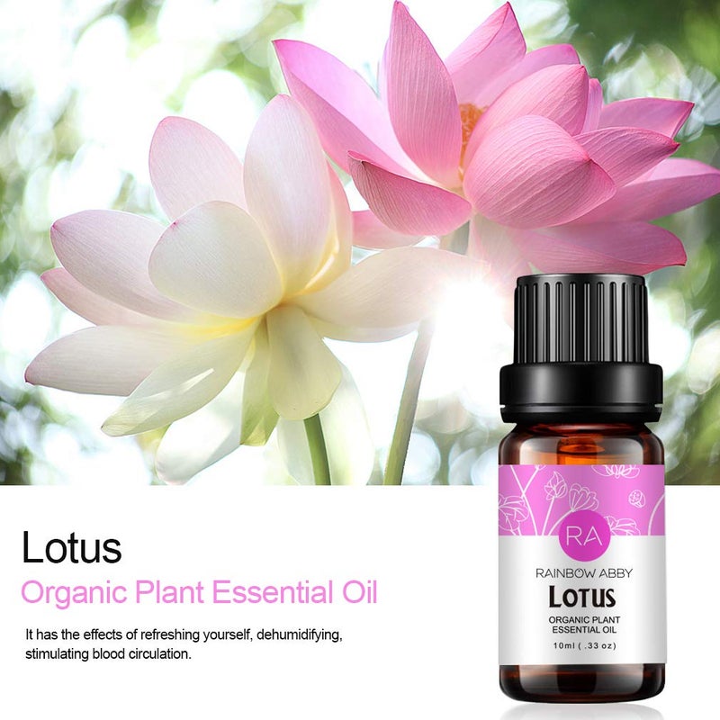 Rainbow Abby Lotus Essential Oil 100% Pure Oganic Plant Natrual Flower Essential Oil for Diffuser Message Skin Care - 10ML - Image 4