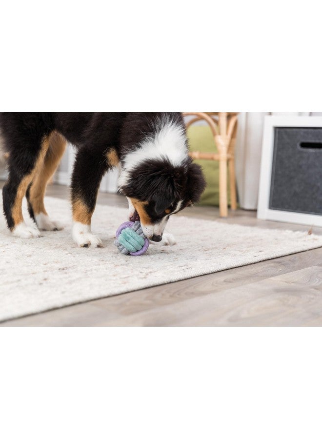 تريكسي لعبة كرة الحبل ذاتية اللعب، للكلاب العدوانية التي تمضغ، من أجل اللعب وتشجيع الترابط - Image 2