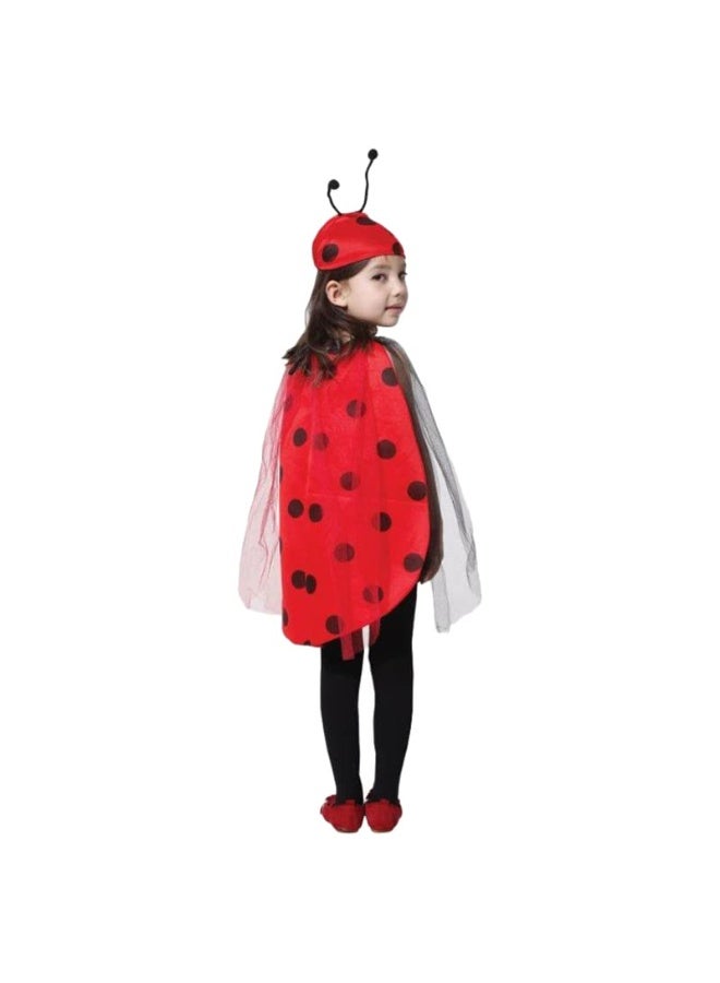 Brain Giggles BrainGiggles Ladybird Costume for Kids 2-8 Years with Cape and Cap – Animal Fancy Dress for Girls & Boys – Cosplay and Halloween Costume for Toddlers – Insect Lady Bug Book Character Costume (Medium) - Image 3