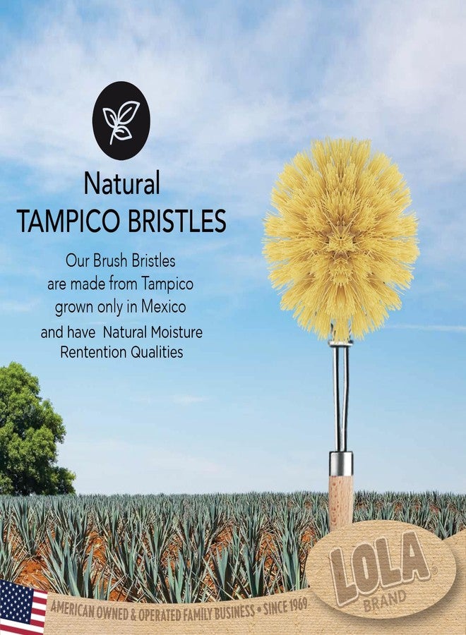 Lola Products The Original Tampico Vegetable & Dish Brush | 2 Inch Small Head | Made from Eco-Friendly Birch Wood | Washable | Long Lasting and Reusable | Easy Head Replacement - Image 4