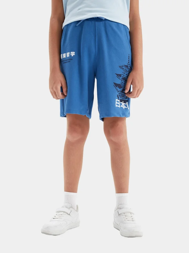 DeFacto DeFacto Kids Blue Printed Logo Regular Fit Shorts