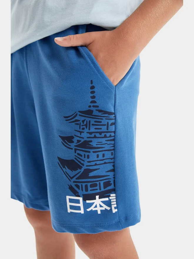 DeFacto DeFacto Kids Blue Printed Logo Regular Fit Shorts