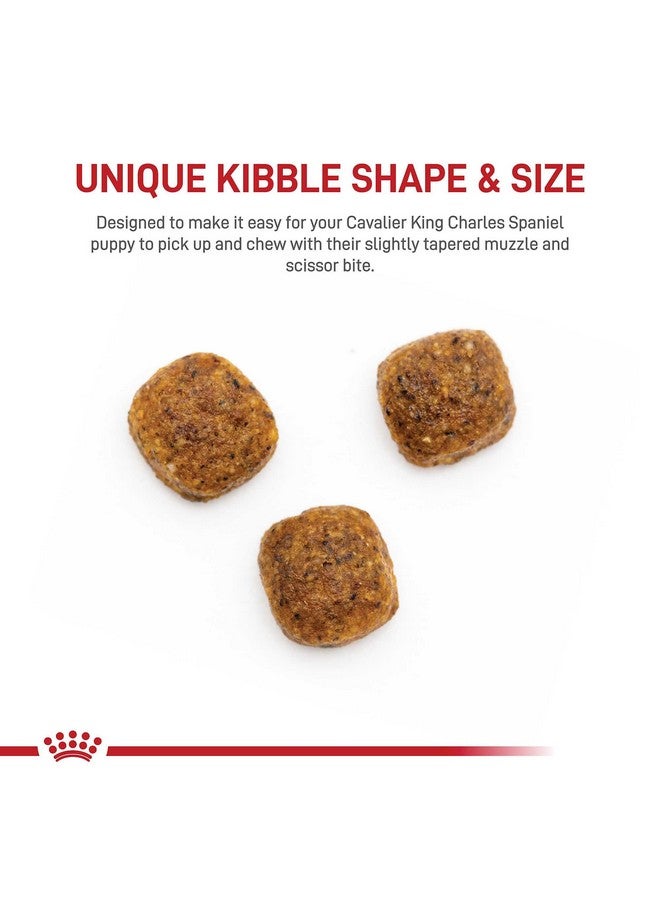 رويال كانين طعام جاف للكلاب الصغيرة كافالير كينج تشارلز، كيس 3 رطل - Image 2