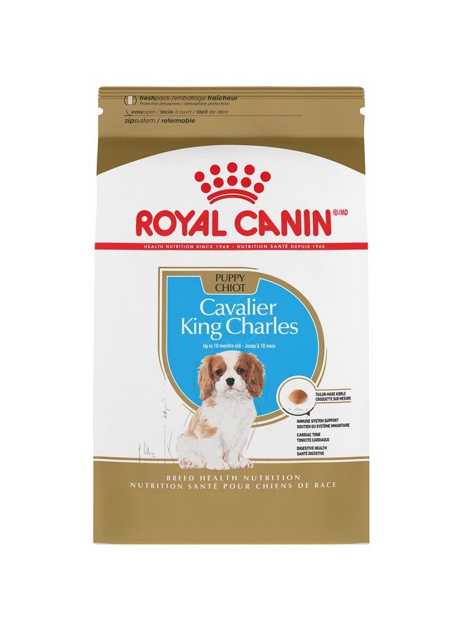 رويال كانين طعام جاف للكلاب الصغيرة كافالير كينج تشارلز، كيس 3 رطل - Image 1