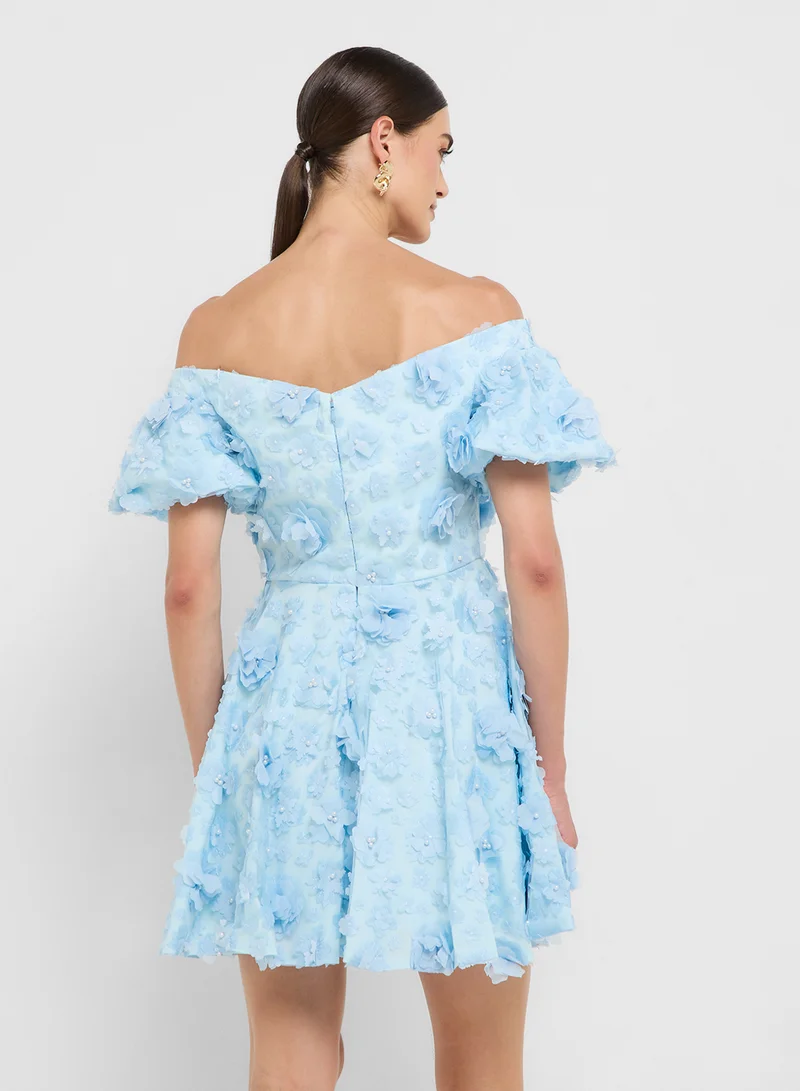 Ginger Boutique eclat luxe puff sleeves 3d floral applique dress
