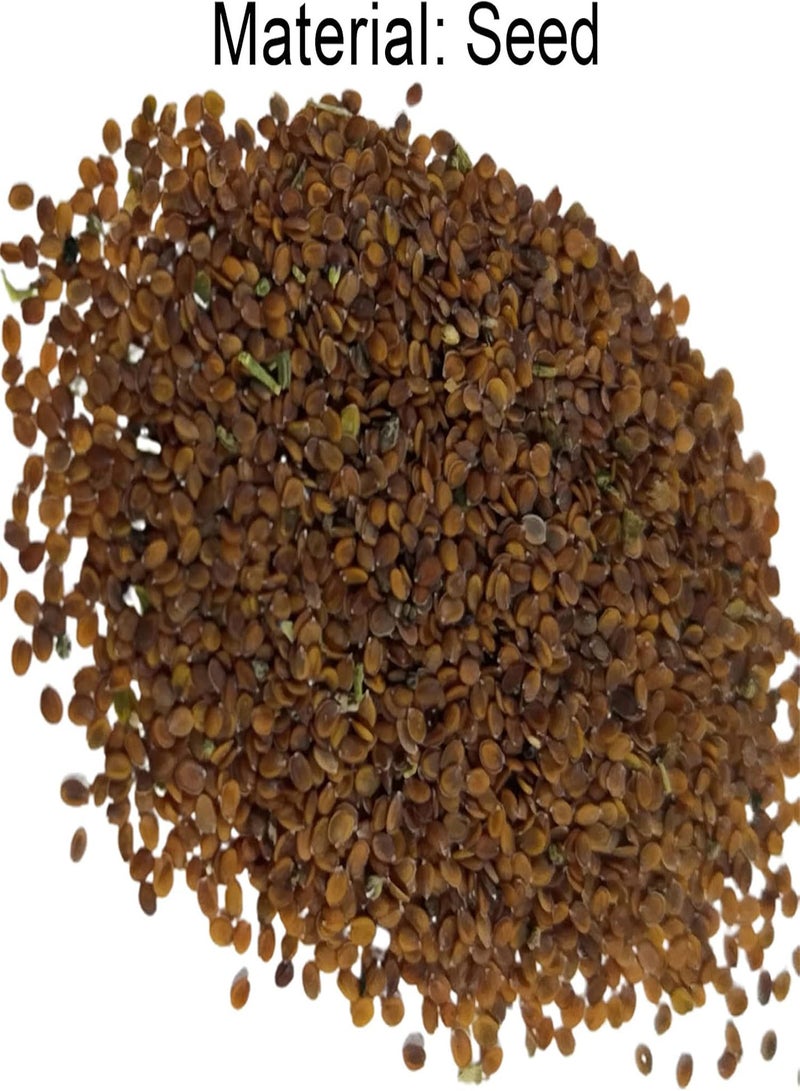 GGOOT 500Pcs/Bag Rock Cress Seeds Easy to Grow Ground Cover Flower Multi-Color Grassland Plant Seeds for Lawn Plant Seeds Safe for Park - Image 5