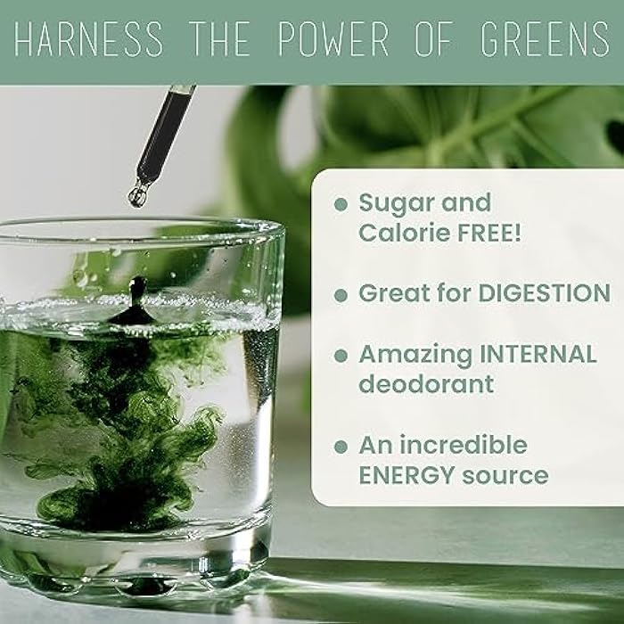 Philosophie Liquid Chlorophyll Sunshine Drops for Water | Organic Chlorophyll Drops with Mint for Detox, Internal Deodorant & Energy Boost | Natural Vegan Supplement, Non-GMO, 2oz - Image 3
