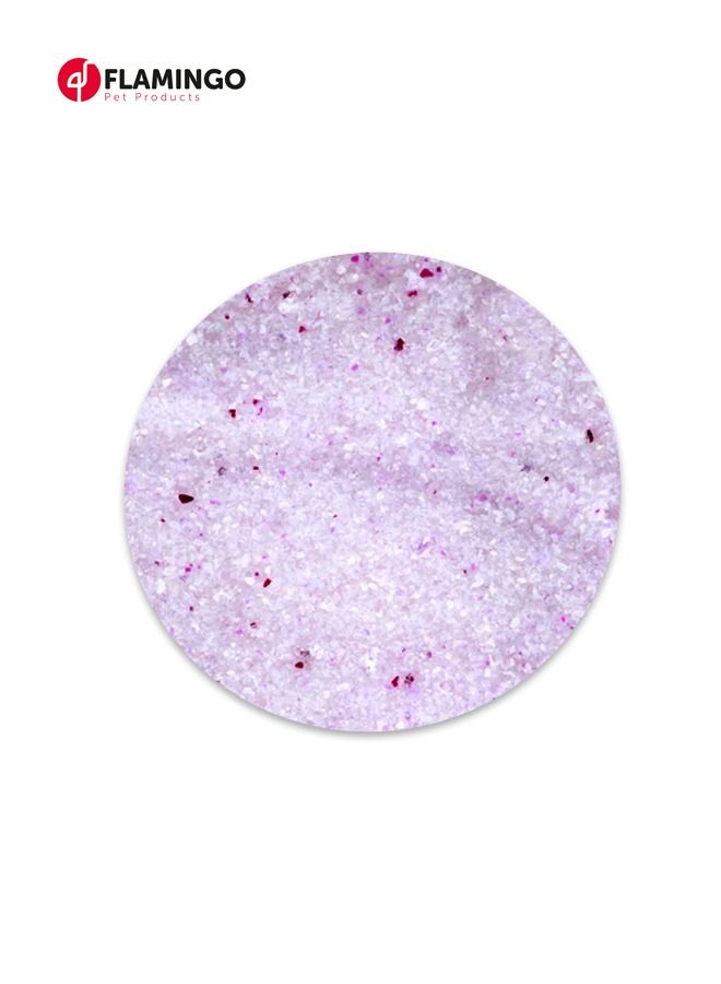 Flamingo رمل قطط سيليكا متكتل عادي - 5 لتر - Image 2