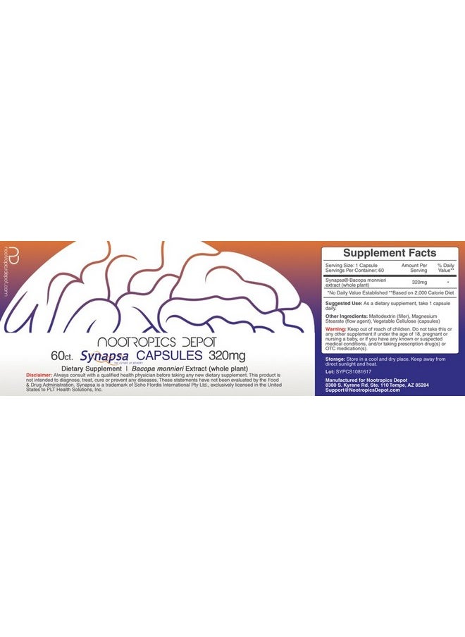 Nootropics Depot - Synapsa Bacopa Monnieri Capsules ; 320Mg ; 60 Count ; Whole Plant Extract ; Ayurveda Supplement ; Adaptogen Herb ; Clinically Proven To Enhance Learning Memory And Mental Performance - Image 1