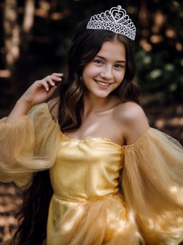 Janefashions Quinceanera Sweet 15 Fifteen 15th Birthday Party coronas de quinceañeras Clear White Austrian Rhinestone Tiara Crown with Hair Combs Princess Gold Silver T1756 (Silver With Combs) - Image 2