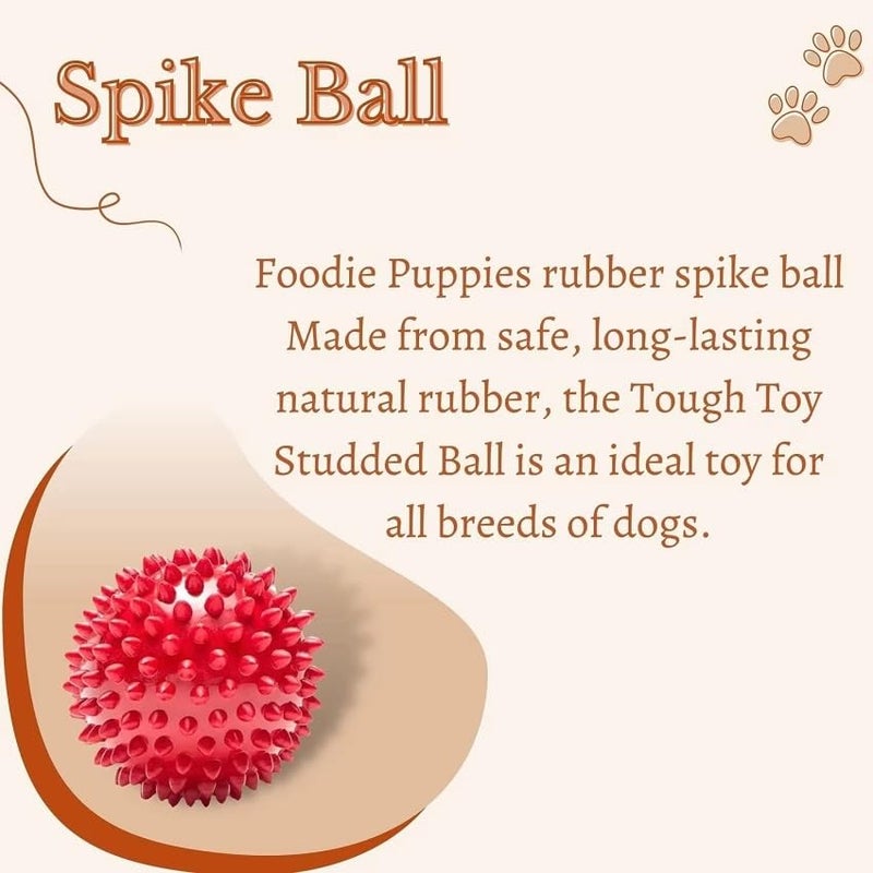swacch Shampoo | Puppy Safe Shampoo | PH Balanced | Ditch to Itch for German Shepherd Shampoo 2 Litre (Neem Alovera) + Spike Ball Chew Toy Combo Pack - Image 5