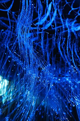 AZIMOM 50pcs*13.1ft PMMA Plastic Fiber Optic Strands End Glow 0.75mm/ 0.03in Optical Fiber Cable Roll for Star Sky Ceiling All Kind led Light Engine Source Driver - Image 5