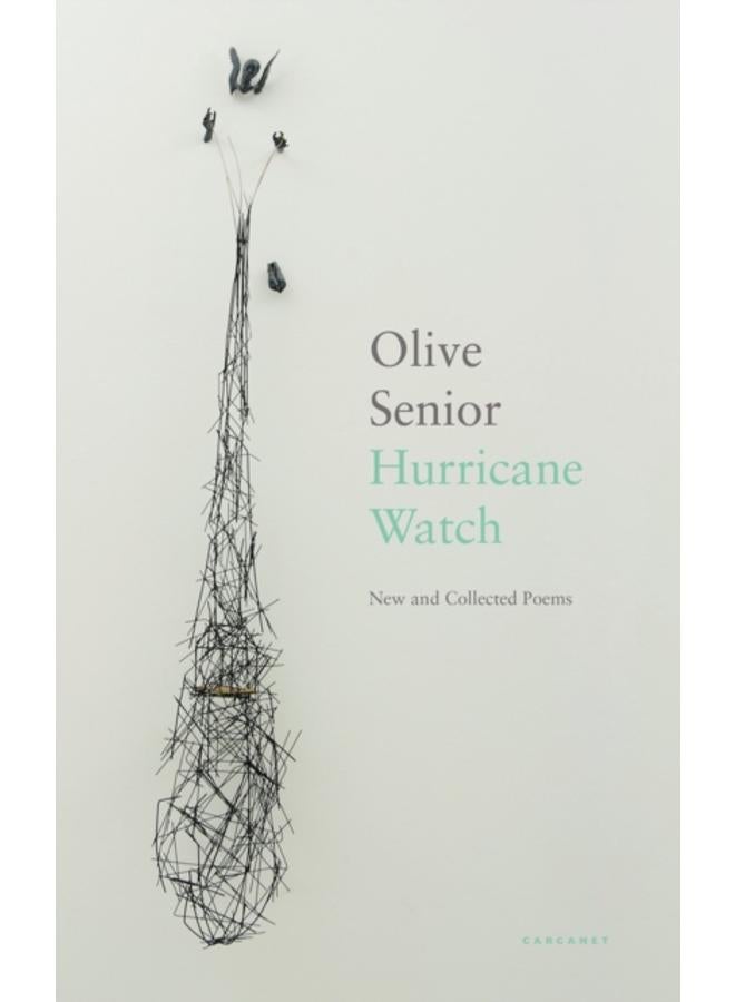 Hurricane Watch : New and Collected Poems 