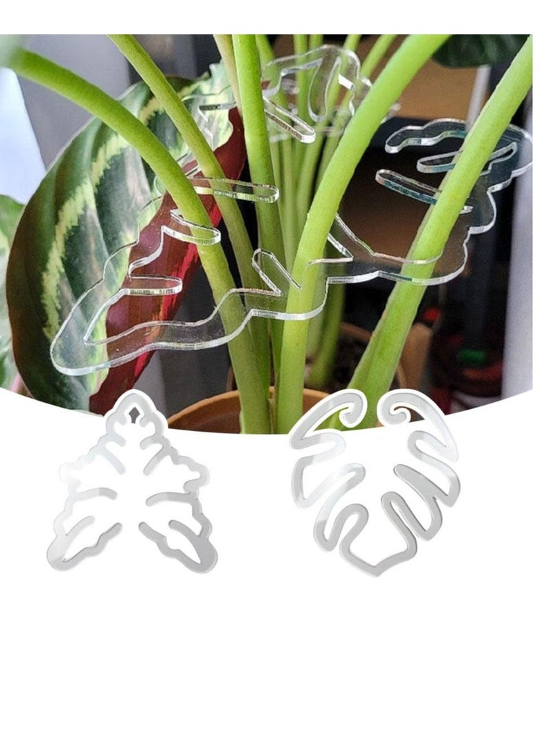 إكسفور مجموعة دعم جذع النبات، مشابك من الخيزران على شكل سلحفاة، حوامل بلاستيكية شفافة، مشابك قابلة لإعادة الاستخدام للنباتات الداخلية والخارجية، الزهور، الخضروات، خطاف عمودي جمالي فريد من نوعه - Image 3