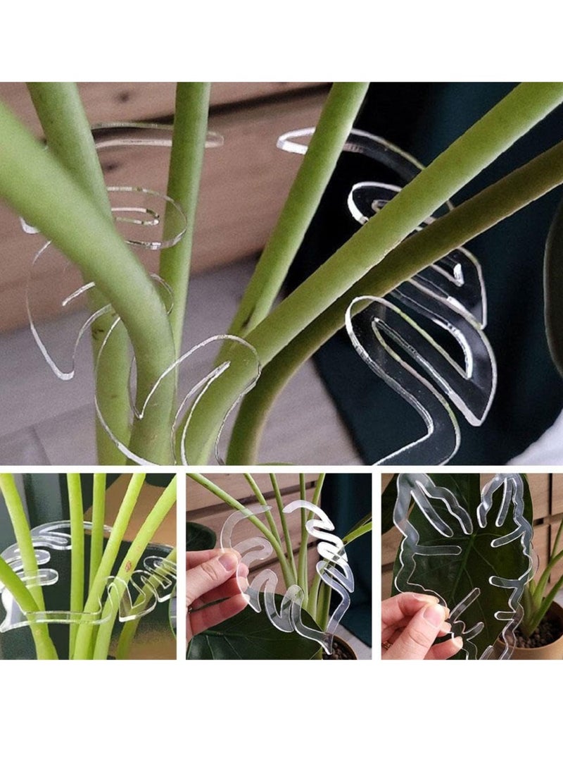 إكسفور مجموعة دعم جذع النبات، مشابك من الخيزران على شكل سلحفاة، حوامل بلاستيكية شفافة، مشابك قابلة لإعادة الاستخدام للنباتات الداخلية والخارجية، الزهور، الخضروات، خطاف عمودي جمالي فريد من نوعه - Image 4
