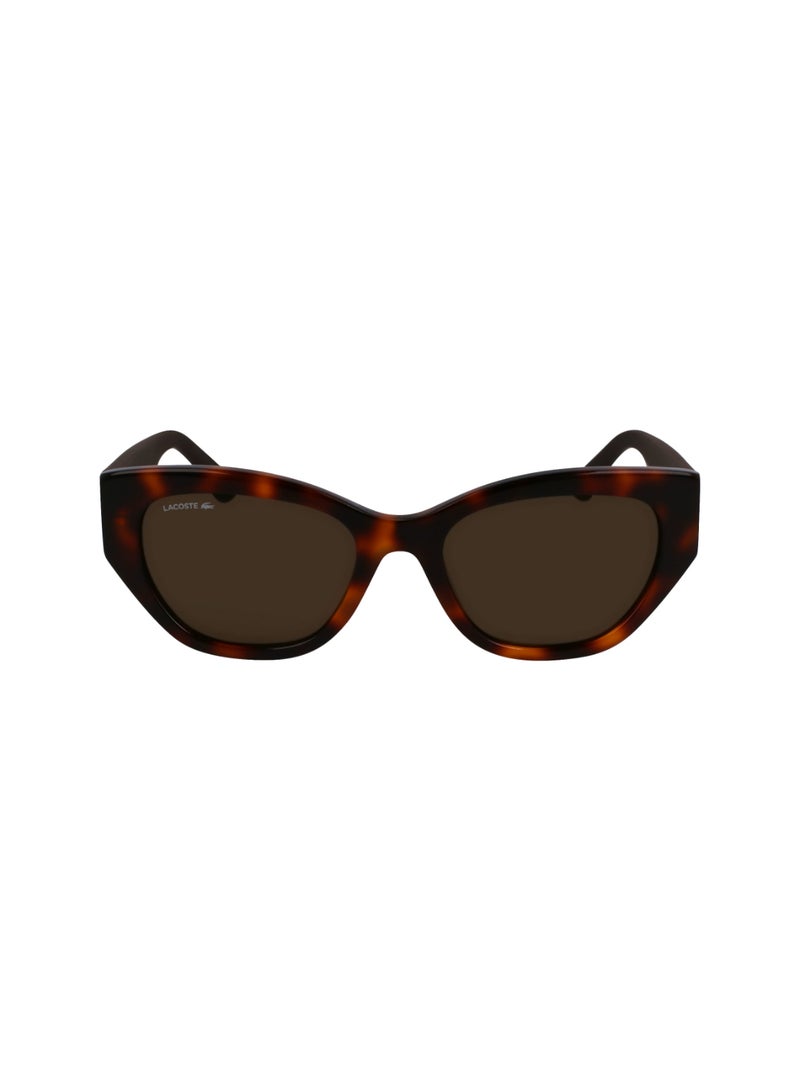 LACOSTE FULL RIM BIO INJ-G820 ACETATE LACOSTE SUNS L6047S 5419 (214) HAVANA - Image 2