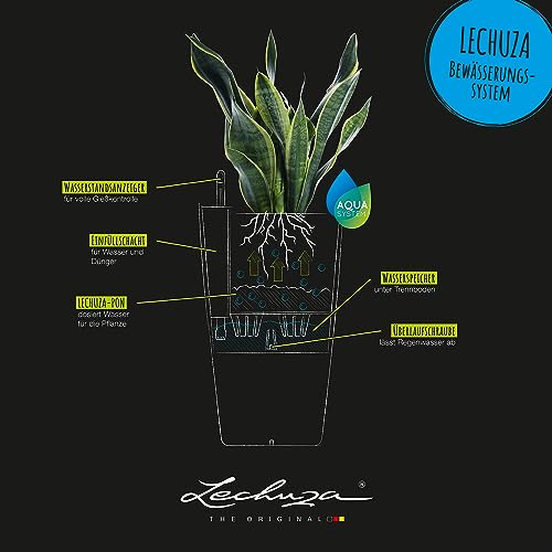 Lechuza 13138 Cubico Color 30 Self-Watering Planter for Indoor and Outdoor Use, 12" x 12" x 22", Slate - Image 4