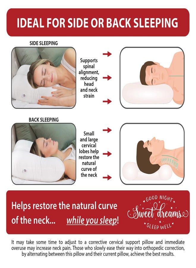 Core Products Tri-Core Cervical Support Pillow - Gentle (Medium Firmness) Orthopedic Neck Pillow for Pain Relief, Back and Side Sleepers - Ergonomic Contour Pillow - Assembled in USA, Full Size, White - Image 3