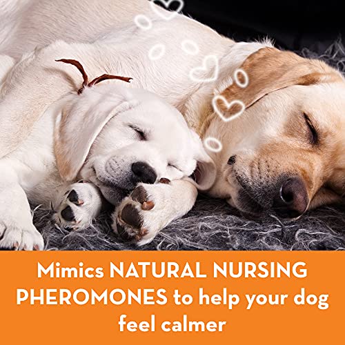 ThunderEase Dog Calming Pheromone Diffuser Kit | Powered by ADAPTIL | Vet Recommended to Relieve Separation Anxiety, Stress Barking and Chewing, and the Fear of Fireworks and Thunderstorms (60 Day Sup - Image 5