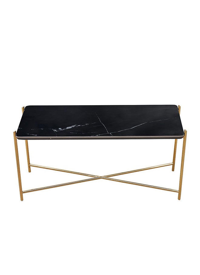 Kenn Sintered Stone High Coffee Table Multifunctional Living Room Table Space Saving Center Table Modern Design Furniture For Home L 120x45x60 cm Black/Gold - pzsku/Z651AD6E3A5F13E8CA94CZ/45/_/1714460049/fcef6ac5-2959-462c-bc9d-9a822b70fefa