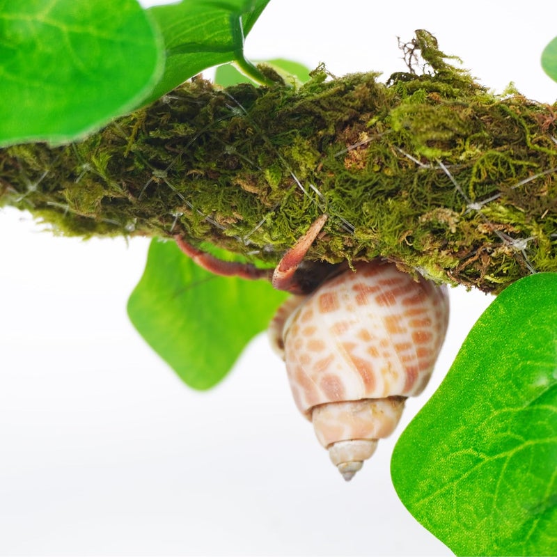Begeterday Hermit Crab Climbing Toy with Artificial Vines, 25 Inch Bendable Hermit Crab Supplies, Great Accessory for 10 Gallon Hermit Crab Tank - Image 3
