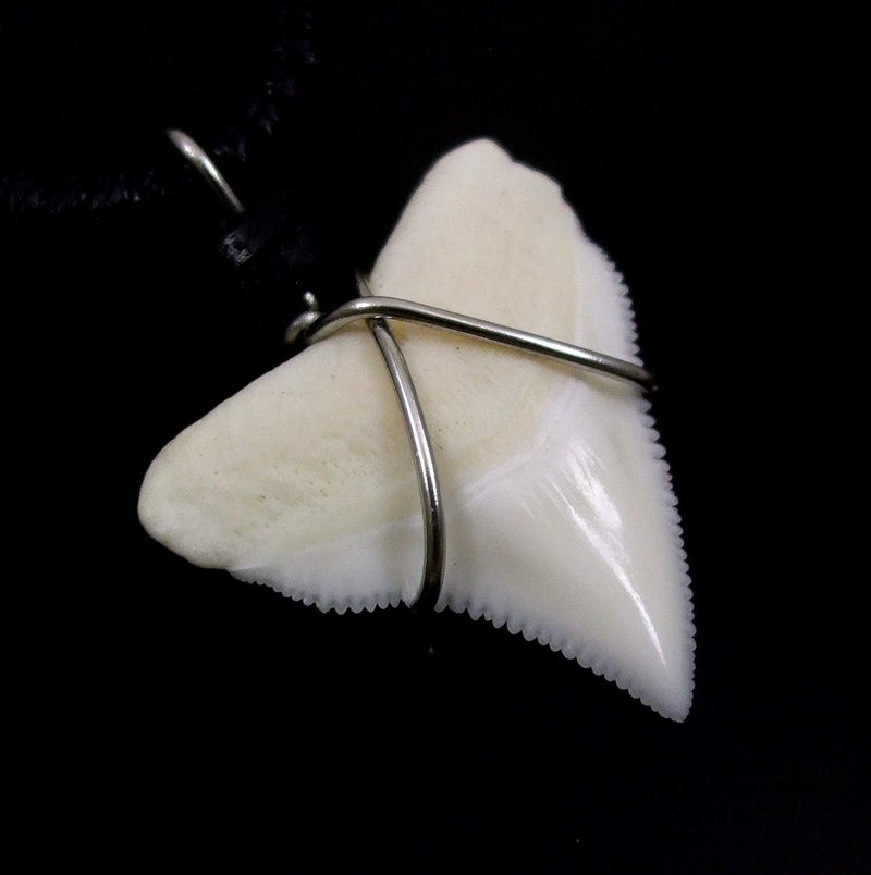 Swimmi Genuine Shark Tooth Necklace for Men, Mako Shark Tooth Necklace, Handmade Wooden Beads adjustable Cords Necklace for Women Jewelry - BA369 - Image 3