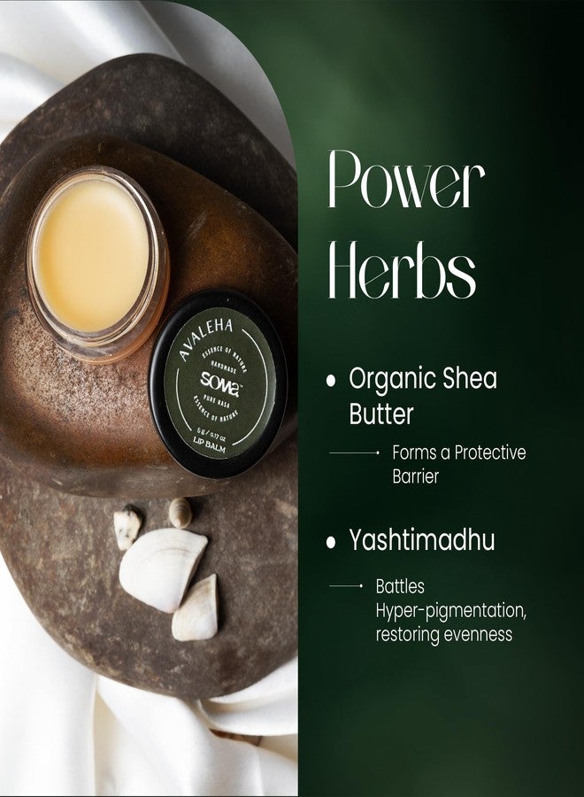 SOMA Avaleha Ayurvedic Lip Balm | Natural & Organic Lip Care with Shea Butter, Vitamin E & Rose Geranium Oil | Hydrates, Nourishes & Heals Dry, Chapped, Pigmented Lips | 5g - Image 3