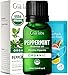 Gya Labs Organic Peppermint Essential Oil 034 Fl Oz for Skin Hair Diffuser Aromatherapy DIY Candle Making Scents - Image 1