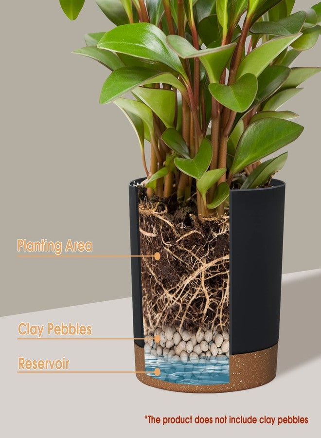 Kubvici 2 Pack 8 inch Planters Pots for Plants Indoor Outdoor Flower Pots with Drainage Holds & Saucer for Garden Home (Black, 8 inch) - Image 4
