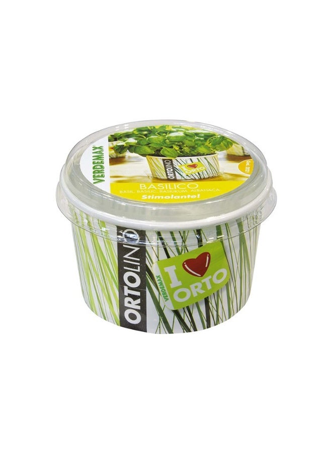 Verdemax Ortolino Basil Kit Seeds VX2021