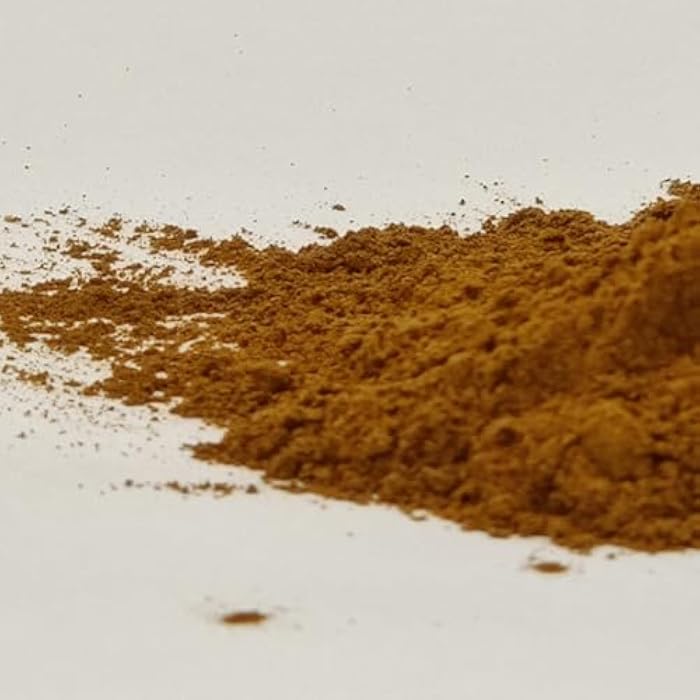 ECOVISTA Organic Rhubarb Root Powder 8oz | Rheum Webbianum | Pure & Natural Herbal Supplement | Resealable Pack | Non-GMO, No Additives - Image 3