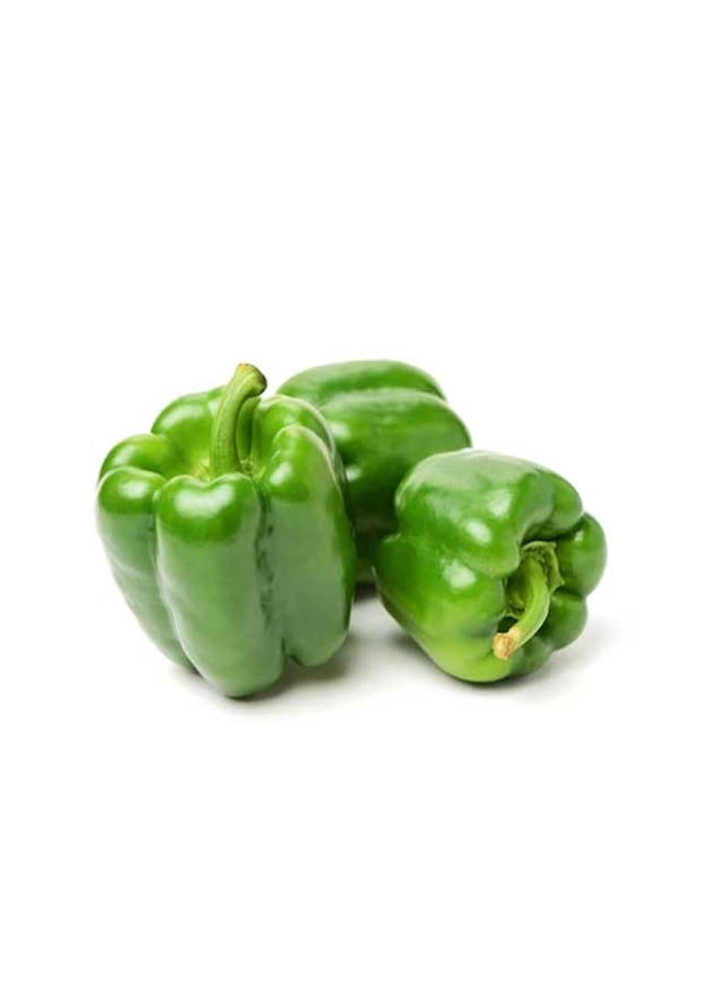 Kibsons Green Capsicums   500g - Image 1