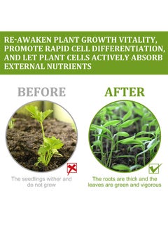 YEGBONG Two Bottles 50ML Plant Growth Enhancer Supplement, Concentrate Liquid Fertilizer Nutrient For Transplant Fast Rooting Rescue Disease Seedlings, Promotes Rooting, Grow New Plants From Cutting  - Image 5