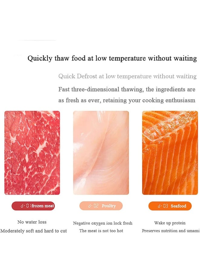 Generic 4 In 1 Food Thawing Defrosting Tray Meat Thaw Tray for Meat Kitchen 360° Thawing Board Electricity Atomized Defroster Thawing Tray for Meat Fish Veggies Chicken Steak  - Image 2