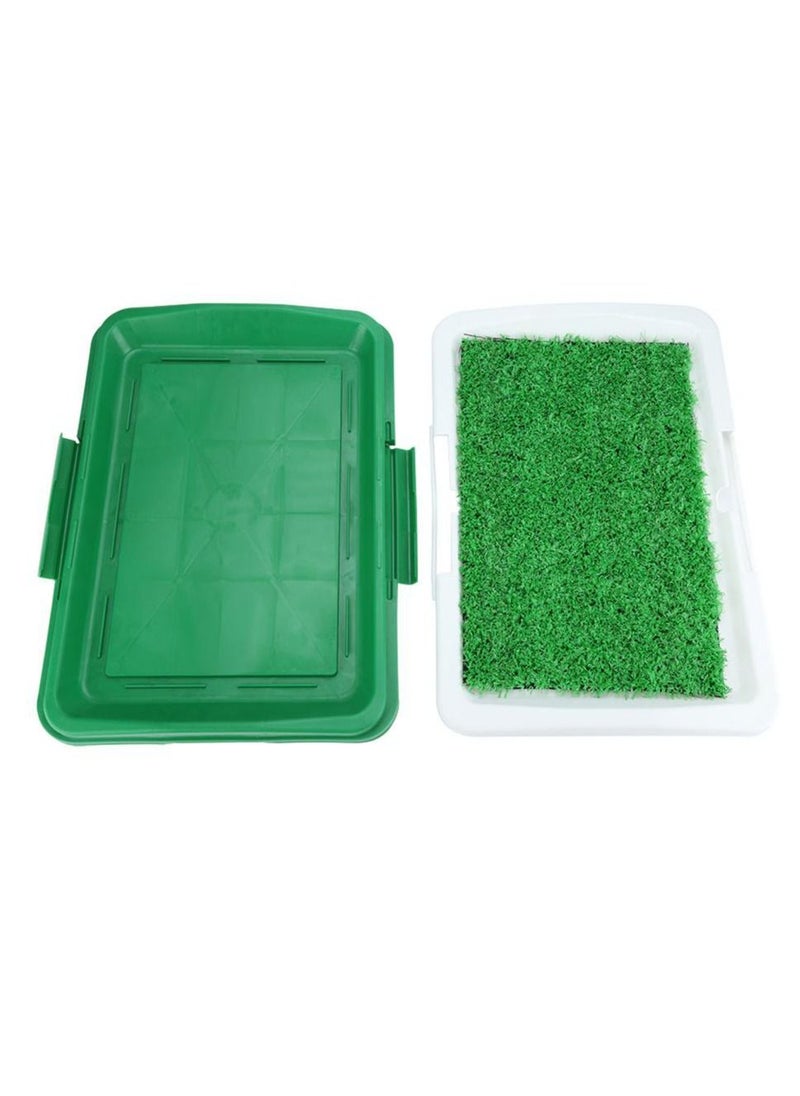 DubaiGallery - Pet Dog Cat Litter Toilet Mat Training Indoor Plastic Tray Grass Training System Box For Dogs - Image 1