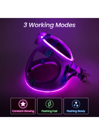 PcEoTllar Light Up Dog Harness, LED Dog Harness for Puppy Small Medium Dogs, Rechargeable No Pull Reflective Dog Harness, Flashing Lighted Dog Harness for Night Walking (Purple,M) - pzsku/Z6527F4CDBA1181A7E8C5Z/45/_/1737032016/6a1e7f99-dc72-4c30-b3b2-cc50652513fc