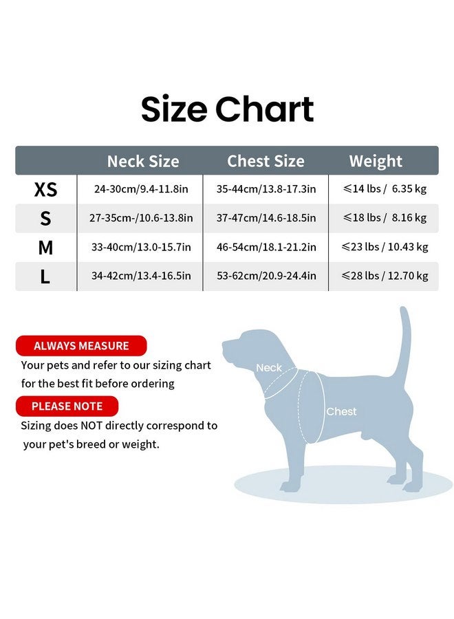 PcEoTllar Light Up Dog Harness, LED Dog Harness for Puppy Small Medium Dogs, Rechargeable No Pull Reflective Dog Harness, Flashing Lighted Dog Harness for Night Walking (Purple,M)