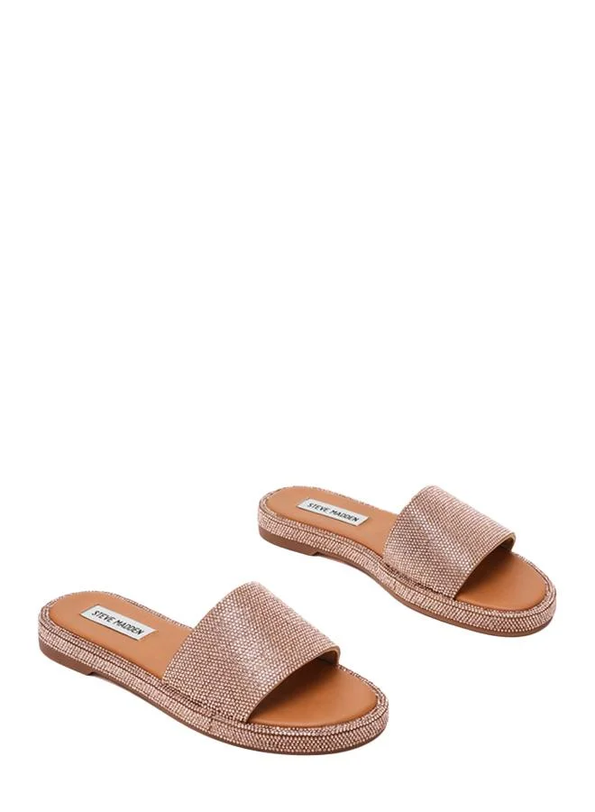 Steve Madden  Addiie Brown Women's Flat Sandals for Women | Best Price UAE