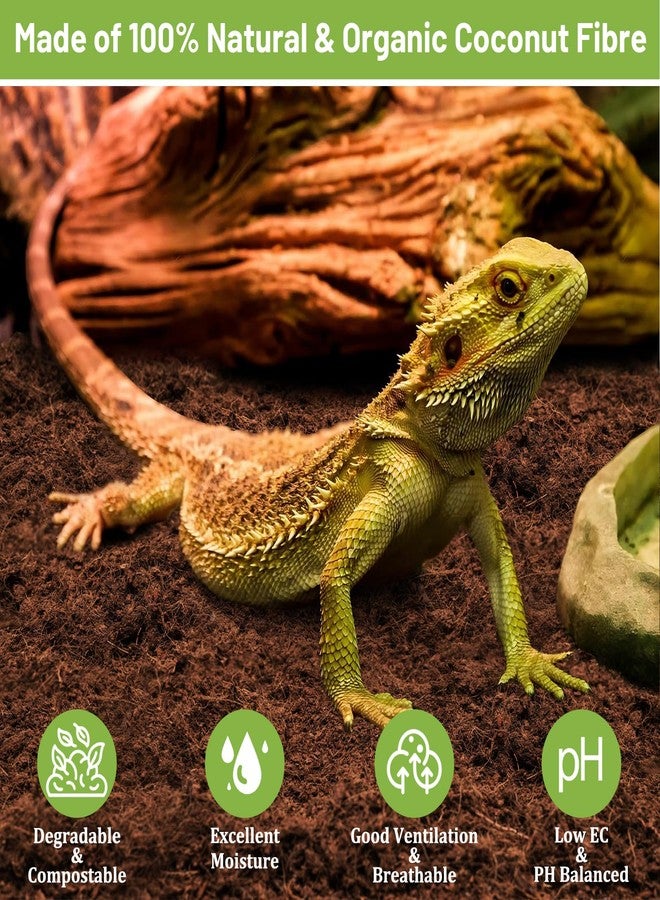Riare 1 Pack Natural Coconut Fiber Substrate for Reptile- Premium Compressed Coconut Husk Terrarium Bedding for Reptile, Tortoise, Frogs, Snakes Hermit Crabs, Burrowing Animals - Image 3