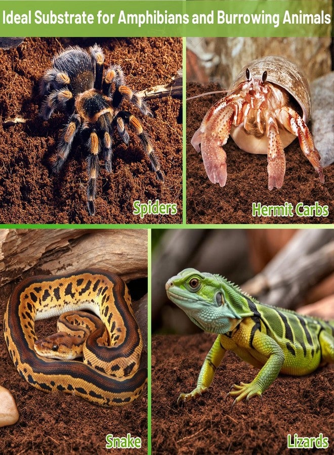 Riare 1 Pack Natural Coconut Fiber Substrate for Reptile- Premium Compressed Coconut Husk Terrarium Bedding for Reptile, Tortoise, Frogs, Snakes Hermit Crabs, Burrowing Animals - Image 5