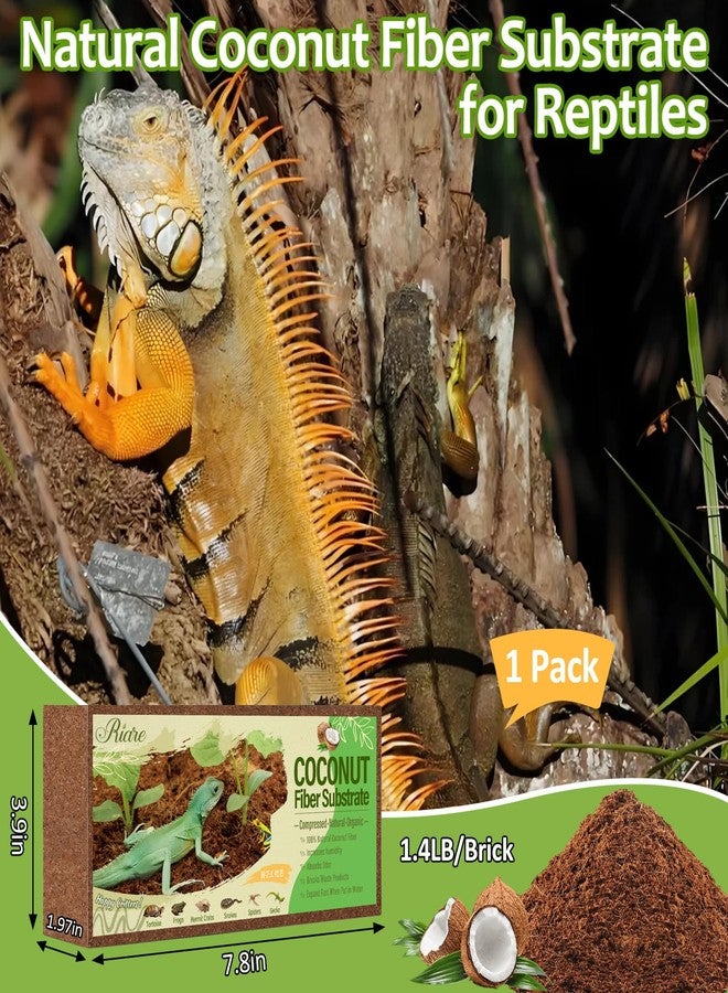 Riare 1 Pack Natural Coconut Fiber Substrate for Reptile- Premium Compressed Coconut Husk Terrarium Bedding for Reptile, Tortoise, Frogs, Snakes Hermit Crabs, Burrowing Animals - Image 2