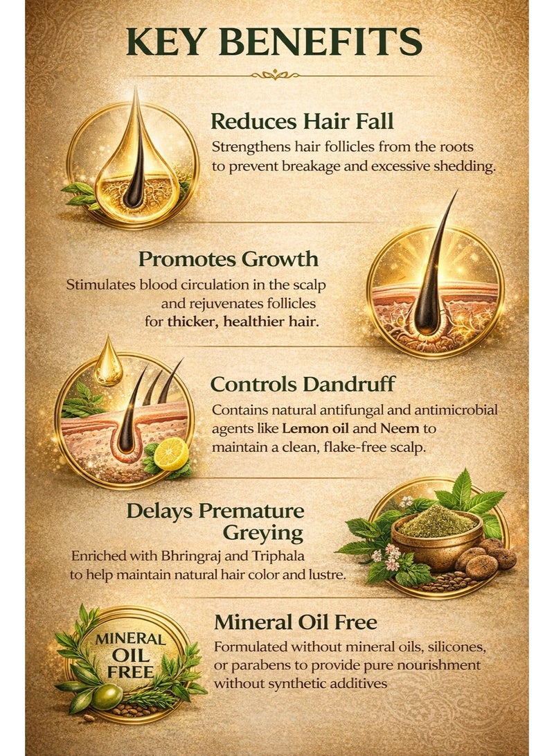 سيسا زيت سيسا الأيورفيدي للشعر – تركيبة أيورفيدية عمرها 5000 عام لتقليل تساقط الشعر وتعزيز النمو –180 مل - Image 3