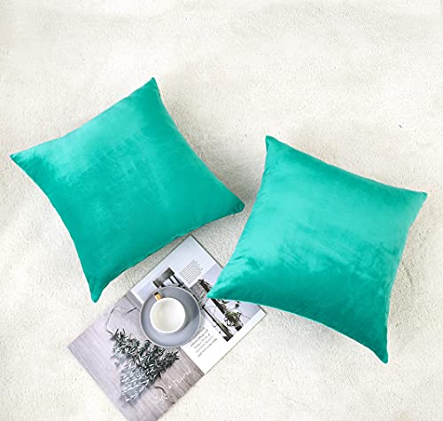 NiNi ALL Decorative Throw Pillow Covers Velvet Soft for Couch Sofa Bedroom Living Room Outdoor Pack of 2 18x18 Inch Aqua Green - Image 2