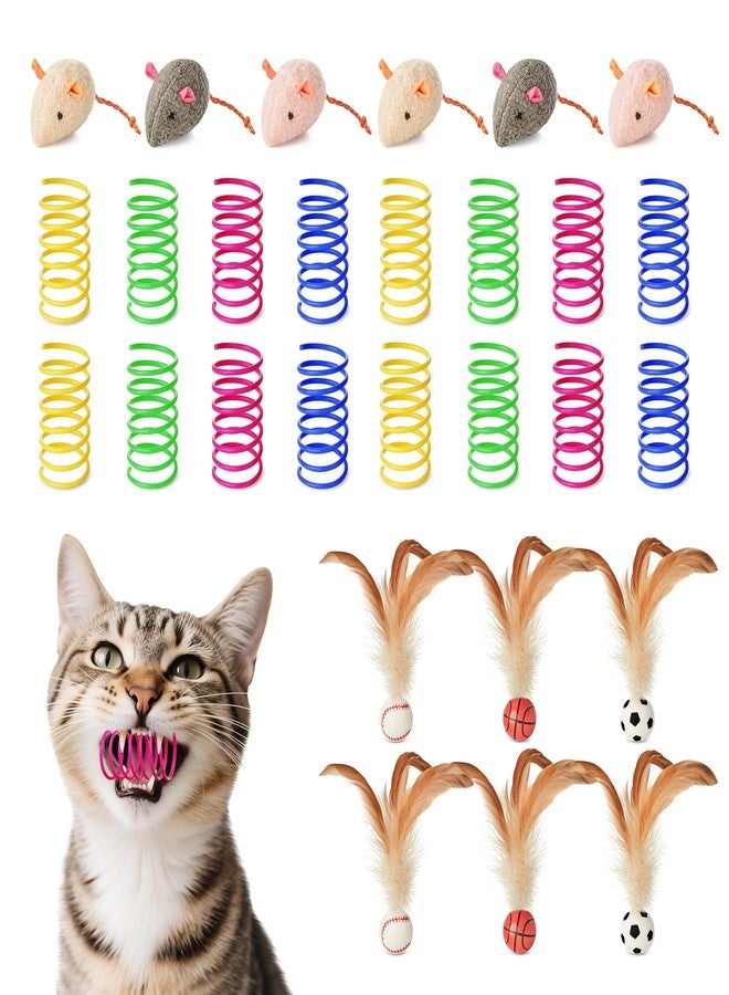 Potaroma Cat Toys Pack for Indoor Cats, 28PCS Interactive Kitten Accessories with Feather Balls, Catnip Mice, Colorful Springs - Starter Kitten Toy Stuff Set, Bored Kitty Must-Have Supplies - Image 1